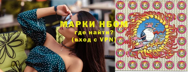 прущие грибы Гусев