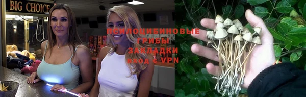 прущие грибы Гусев