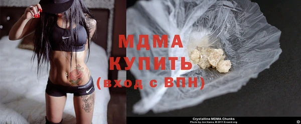 прущие грибы Гусев