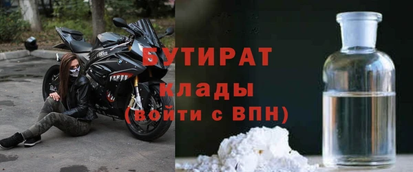 прущие грибы Гусев