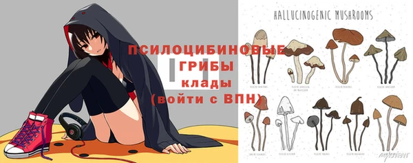 амфетамин Гусь-Хрустальный
