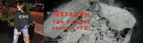 прущие грибы Гусев