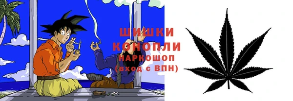 прущие грибы Гусев