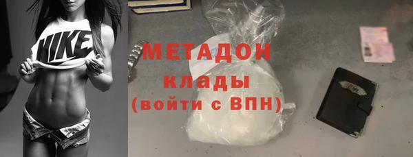 прущие грибы Гусев