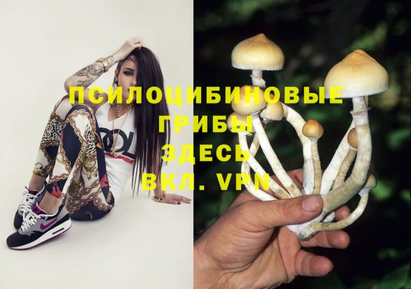 MDMA Premium VHQ Гусиноозёрск