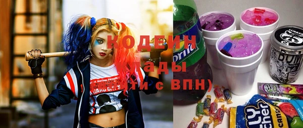 прущие грибы Гусев
