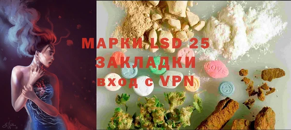 прущие грибы Гусев