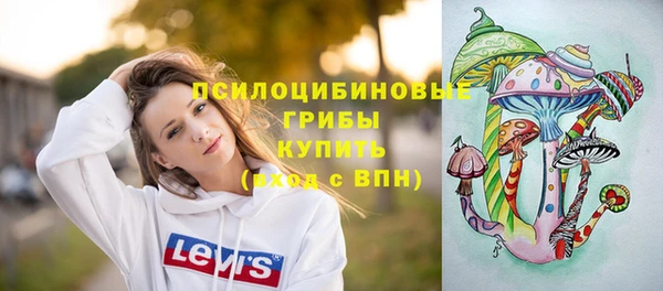 MDMA Premium VHQ Гусиноозёрск